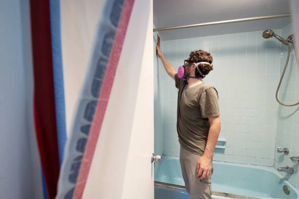Best Basement Mold Removal  in St Johns, MI