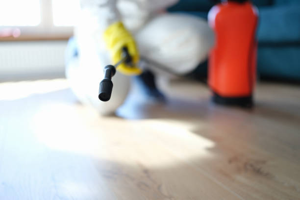 Mold Odor Removal Services in St Johns, MI