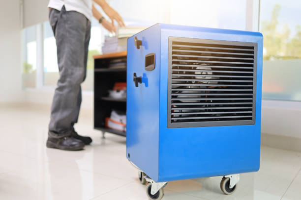 Best Dehumidification Services  in St Johns, MI