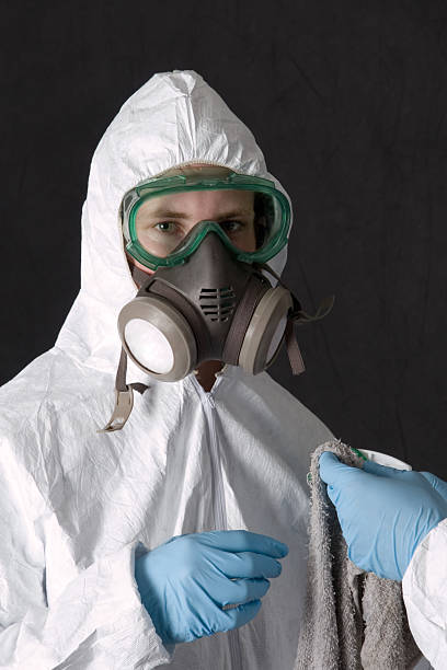 Best Post-Remediation Verification Testing  in St Johns, MI